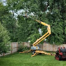 Best Palm Tree Trimming  in Mvern, AL