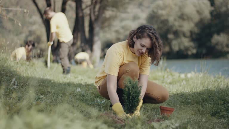 Best Lawn Renovation and Restoration  in Mvern, AL